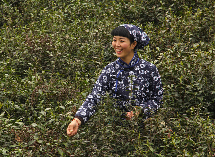 直播封面